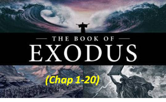 Exodus 1 20 NIV Winds In My Mind 